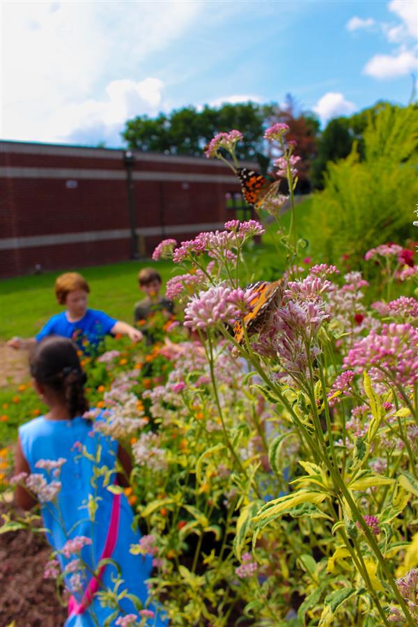 students in a flower garden with butterflies